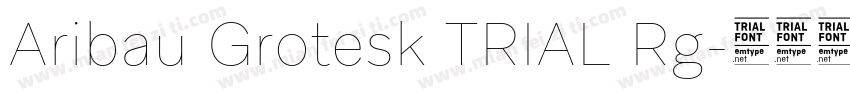 Aribau Grotesk TRIAL Rg字体转换